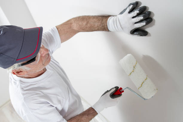Best Post-Construction Mold Inspection  in Schoolcraft, MI