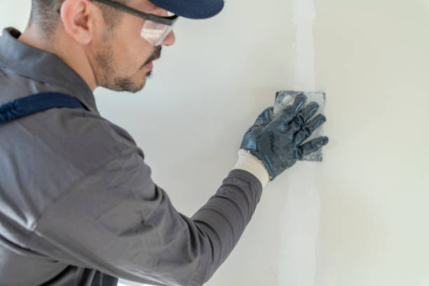 Best Commercial Mold Inspection  in Schoolcraft, MI