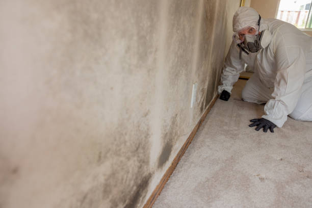 Best Forensic Mold Investigation  in Schoolcraft, MI