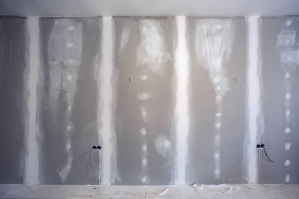 Best Crawl Space Mold Remediation  in Schoolcraft, MI